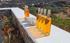 Cycladic Vineyard House